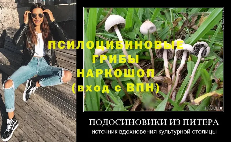 даркнет сайт  Белёв  Галлюциногенные грибы MAGIC MUSHROOMS 